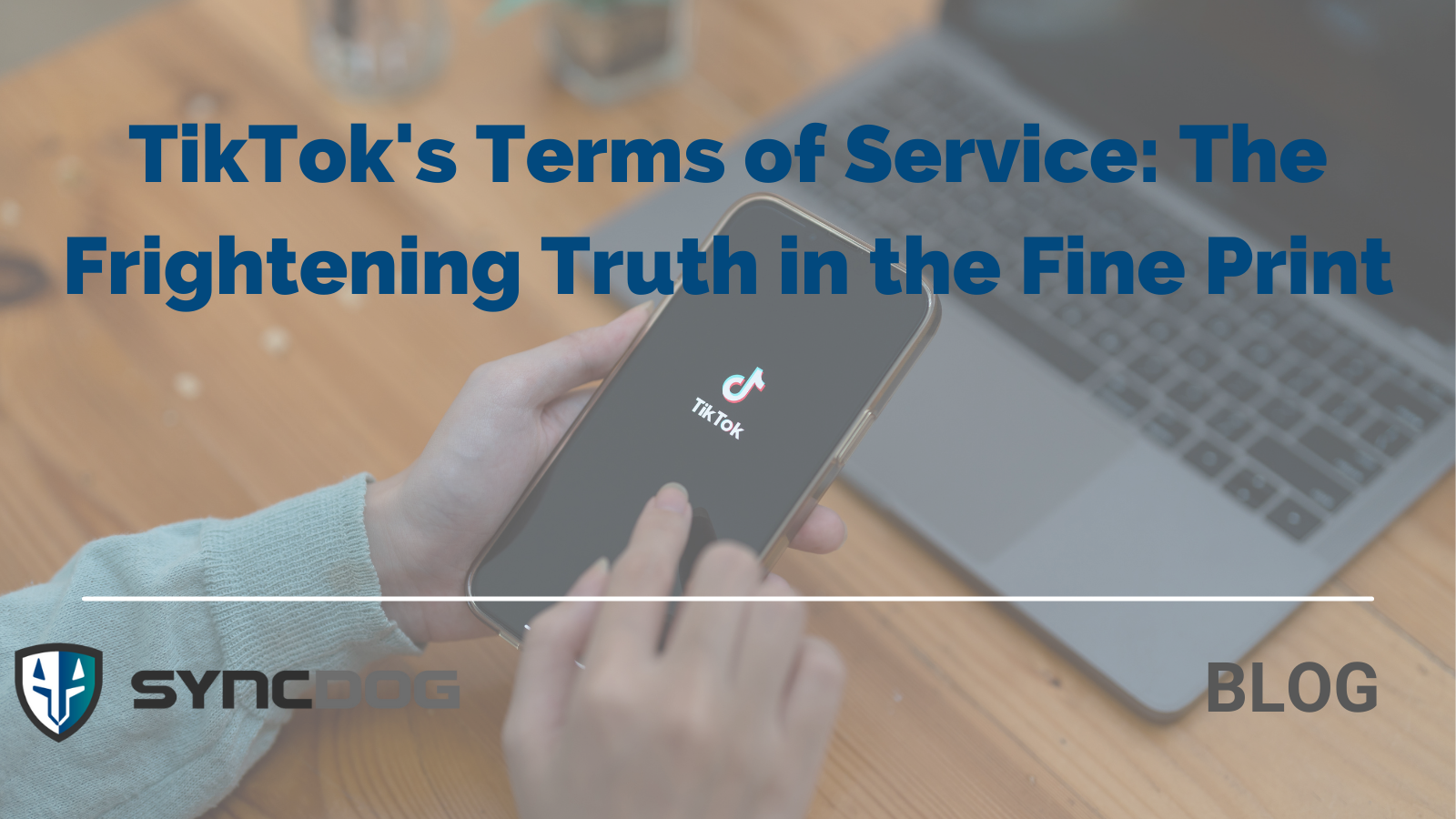 Tiktok Terms Of Service 2025 Nonna